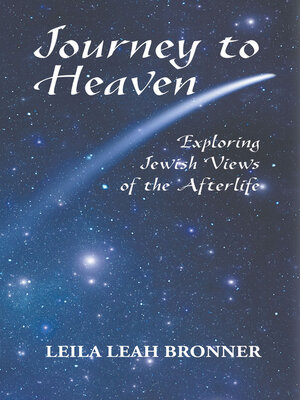 cover image of Journey to Heaven